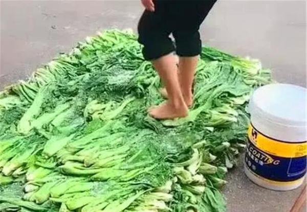 闪创教育：土坑酸菜”用脚踩是传统工艺吗？