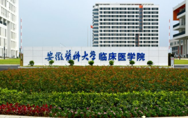 2023年安徽医科大学临床医学院录取分数线
