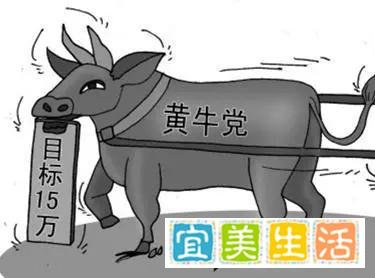 广州离婚名额黄牛代抢每单600元背后牛年话黄牛学职场智慧