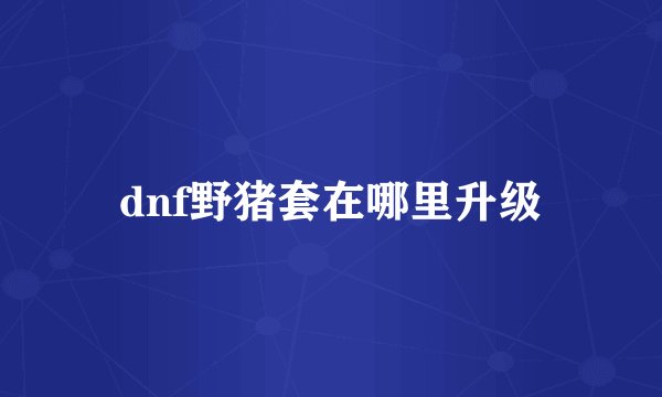 dnf野猪套在哪里升级