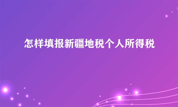 怎样填报新疆地税个人所得税
