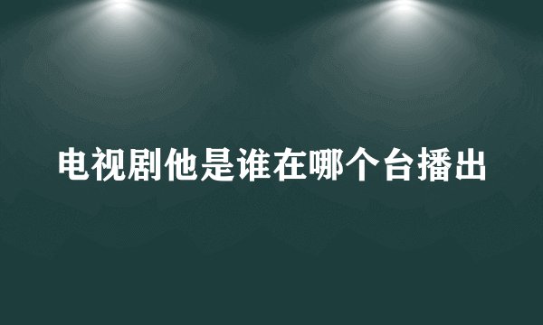 电视剧他是谁在哪个台播出