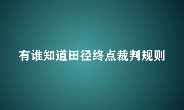 有谁知道田径终点裁判规则