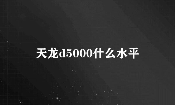 天龙d5000什么水平