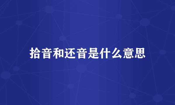 拾音和还音是什么意思