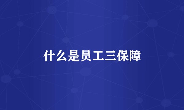 什么是员工三保障