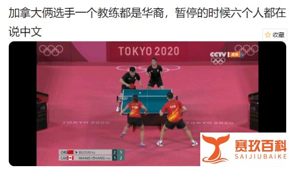 “河北省加拿大队”国外乒乓选手竟是华人！自雇移民成为这些优秀选手的最佳出路