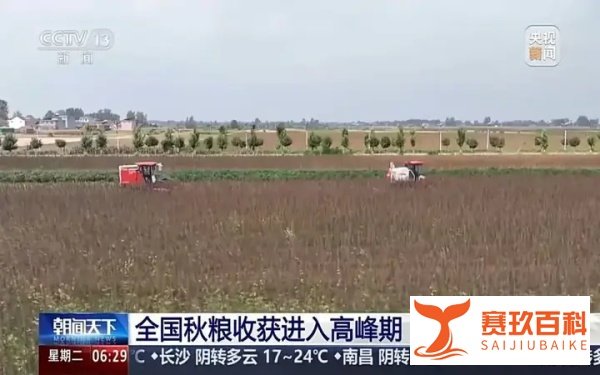 秋粮收获已过半 看各地良种良法保丰收