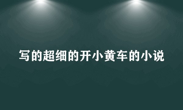 写的超细的开小黄车的小说