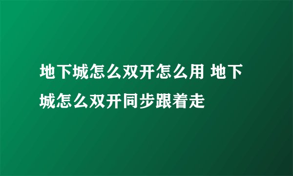 地下城怎么双开怎么用 地下城怎么双开同步跟着走
