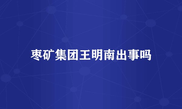 枣矿集团王明南出事吗