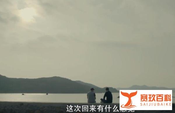 落叶归根:明星兄弟汤镇宗汤镇业的归乡路