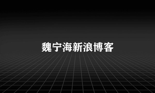魏宁海新浪博客