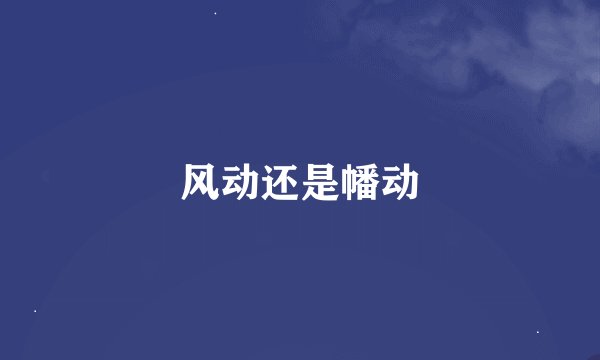 风动还是幡动