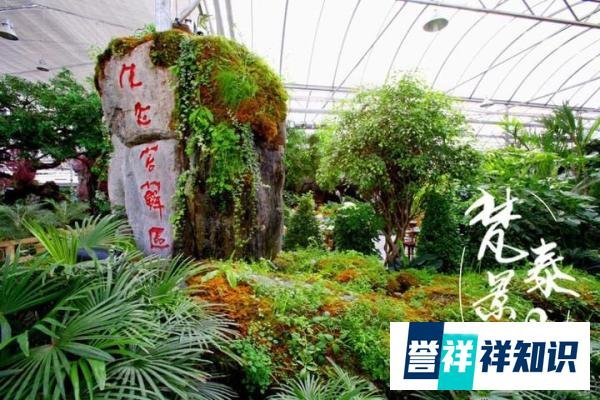 人造假山一平大概多少钱？