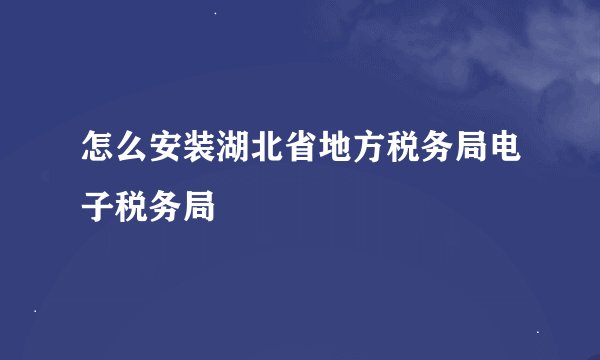 怎么安装湖北省地方税务局电子税务局