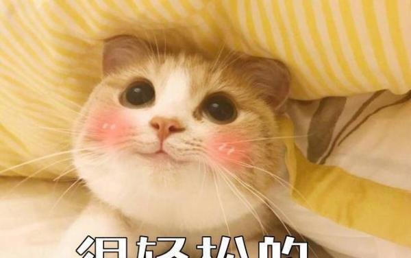 宝马继承人诉苦:生活不易,遭人嫉妒