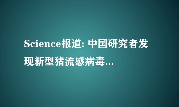 Science报道: 中国研究者发现新型猪流感病毒，具有大流行病潜力