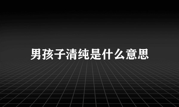 男孩子清纯是什么意思
