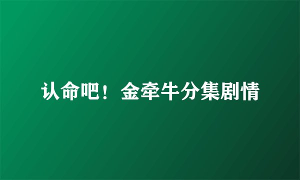 认命吧！金牵牛分集剧情