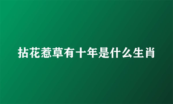 拈花惹草有十年是什么生肖