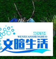 DOTA流浪剑客如何出装 技能如何加点