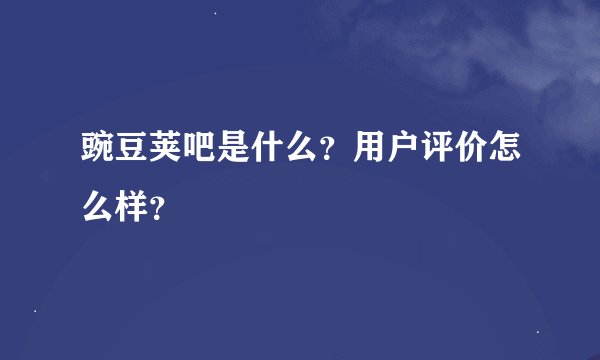 豌豆荚吧是什么？用户评价怎么样？