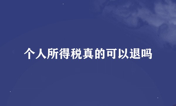 个人所得税真的可以退吗