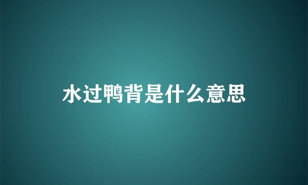 水过鸭背是什么意思