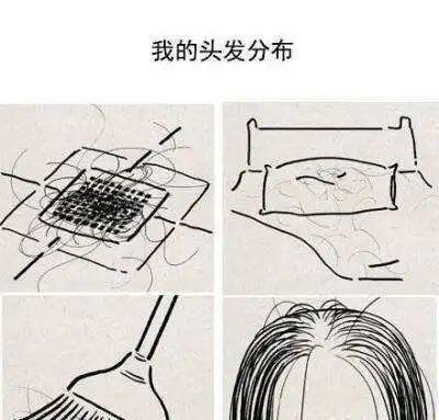 第一批00后已经开始秃头了......