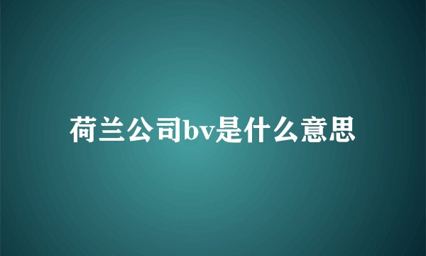 荷兰公司bv是什么意思