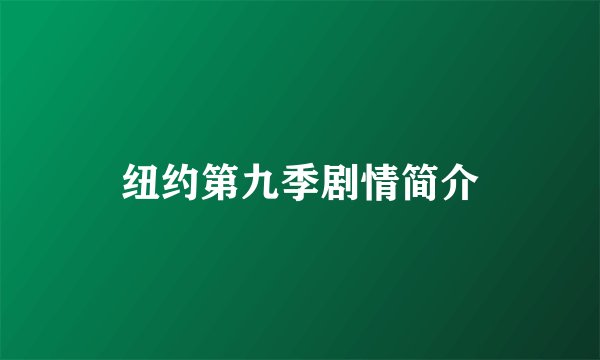 纽约第九季剧情简介