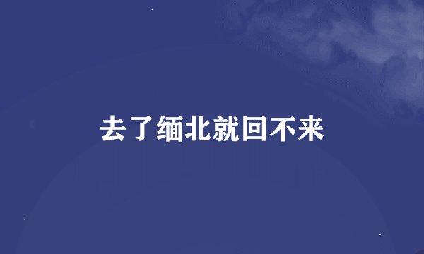 去了缅北就回不来