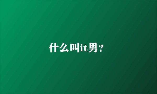 什么叫it男？