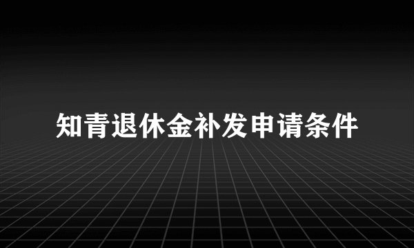 知青退休金补发申请条件