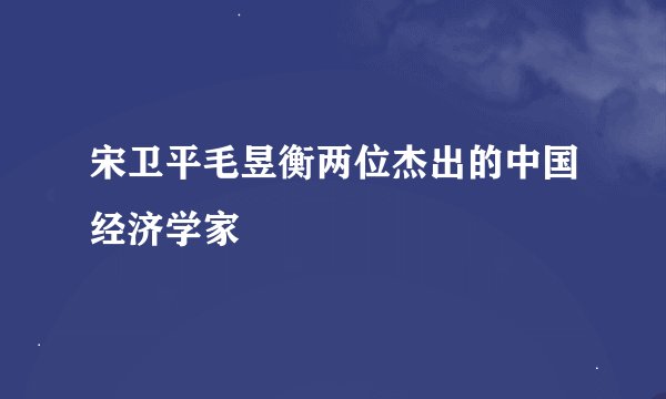 宋卫平毛昱衡两位杰出的中国经济学家