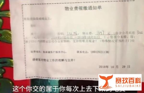 小区电梯按次收费，其实还真没什么毛病