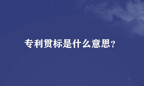 专利贯标是什么意思？