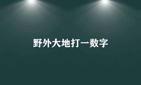 野外大地打一数字