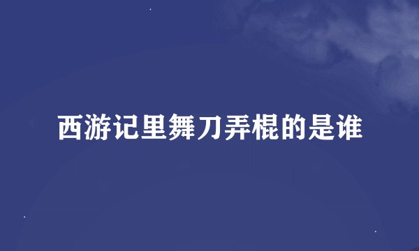 西游记里舞刀弄棍的是谁