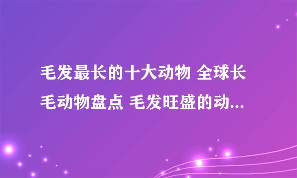 毛发最长的十大动物 全球长毛动物盘点 毛发旺盛的动物有哪些