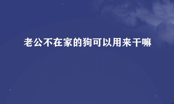 老公不在家的狗可以用来干嘛