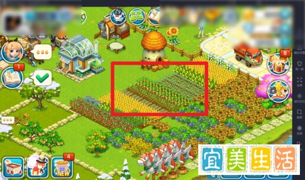 全民农场怎么把普通土地升级为金土地