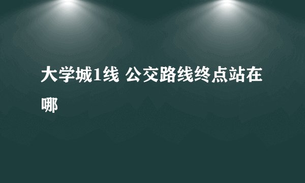 大学城1线 公交路线终点站在哪
