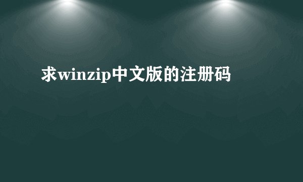求winzip中文版的注册码