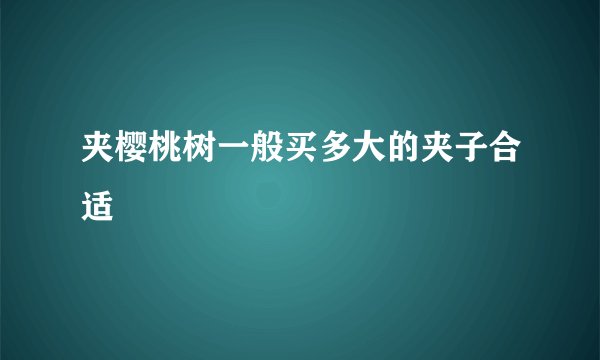 夹樱桃树一般买多大的夹子合适