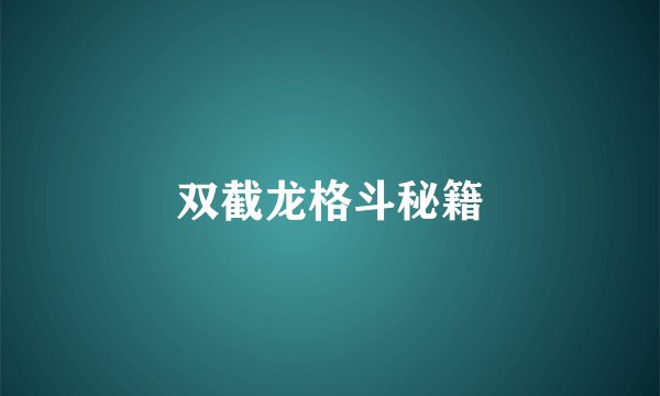 双截龙格斗秘籍