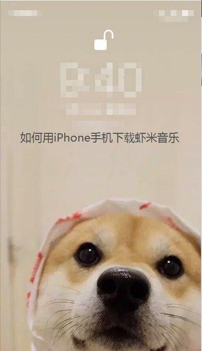 如何用iPhone手机下载虾米音乐