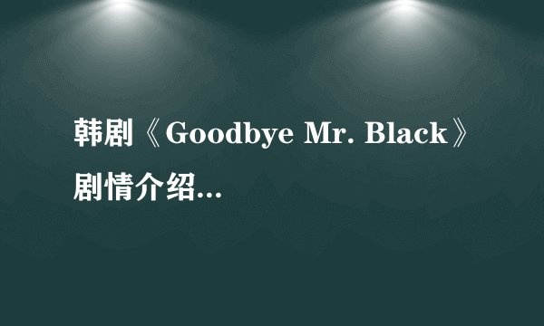 韩剧《Goodbye Mr. Black》剧情介绍(1-20全集)