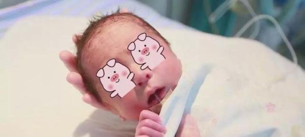 见证生命奇迹，中国首例“添宫”宝宝诞生！
